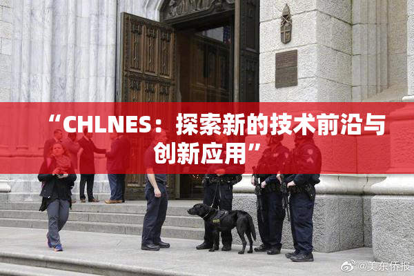 “CHLNES：探索新的技术前沿与创新应用”