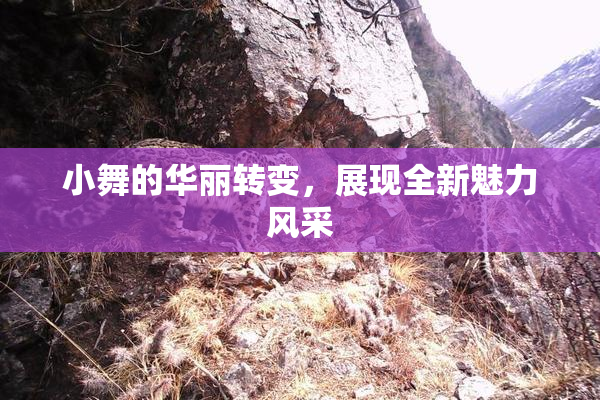小舞的华丽转变，展现全新魅力风采