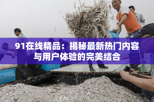 91在线精品：揭秘最新热门内容与用户体验的完美结合