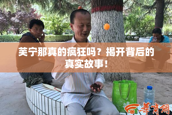 芙宁那真的疯狂吗？揭开背后的真实故事！