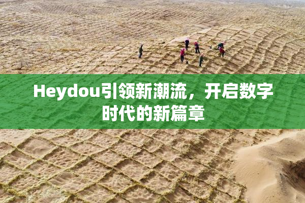 Heydou引领新潮流，开启数字时代的新篇章