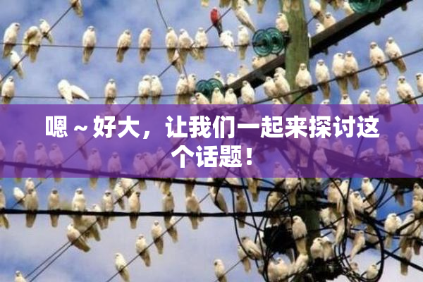 嗯～好大，让我们一起来探讨这个话题！