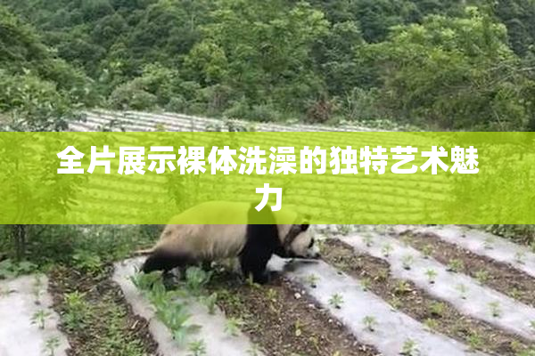 全片展示裸体洗澡的独特艺术魅力