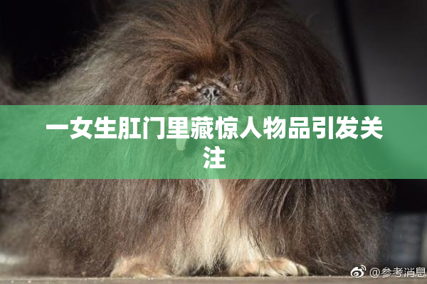 一女生肛门里藏惊人物品引发关注