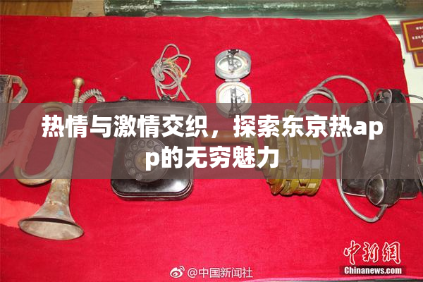 热情与激情交织，探索东京热app的无穷魅力
