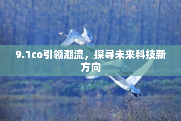 9.1co引领潮流，探寻未来科技新方向