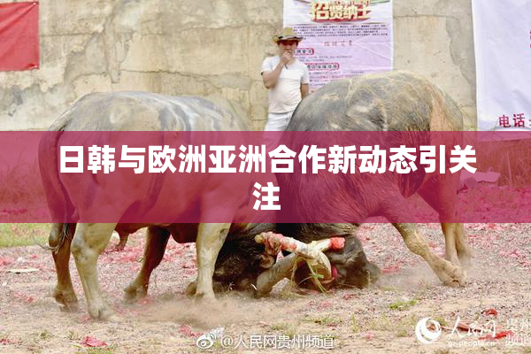 日韩与欧洲亚洲合作新动态引关注