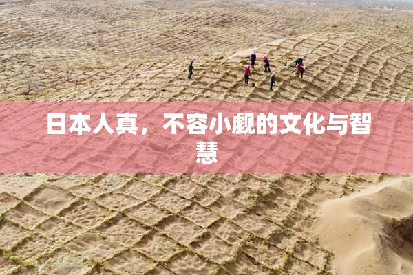 日本人真，不容小觑的文化与智慧