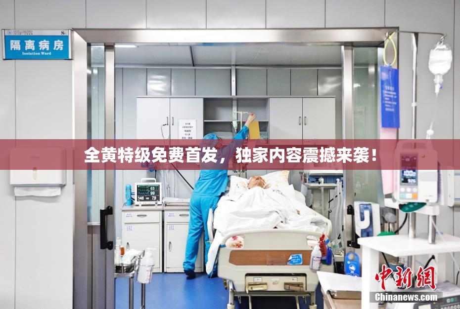 全黄特级免费首发，独家内容震撼来袭！