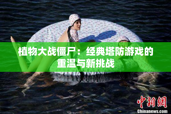 植物大战僵尸：经典塔防游戏的重温与新挑战