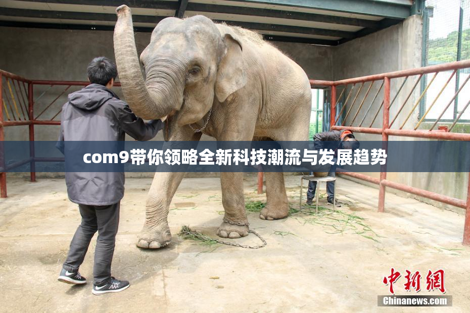 com9带你领略全新科技潮流与发展趋势