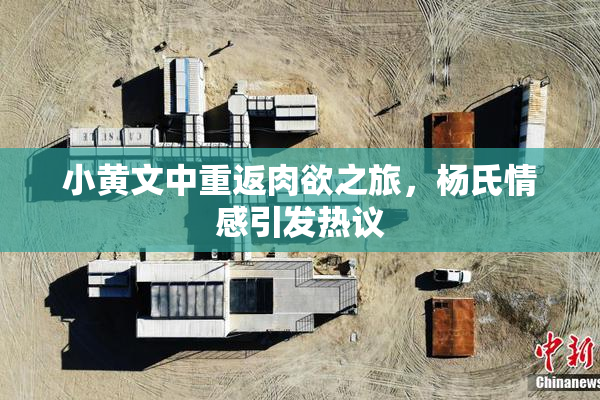 小黄文中重返肉欲之旅，杨氏情感引发热议