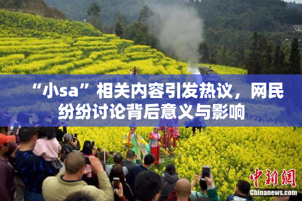 “小sa”相关内容引发热议，网民纷纷讨论背后意义与影响