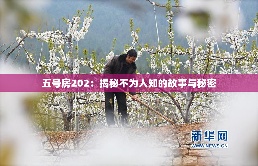 五号房202：揭秘不为人知的故事与秘密