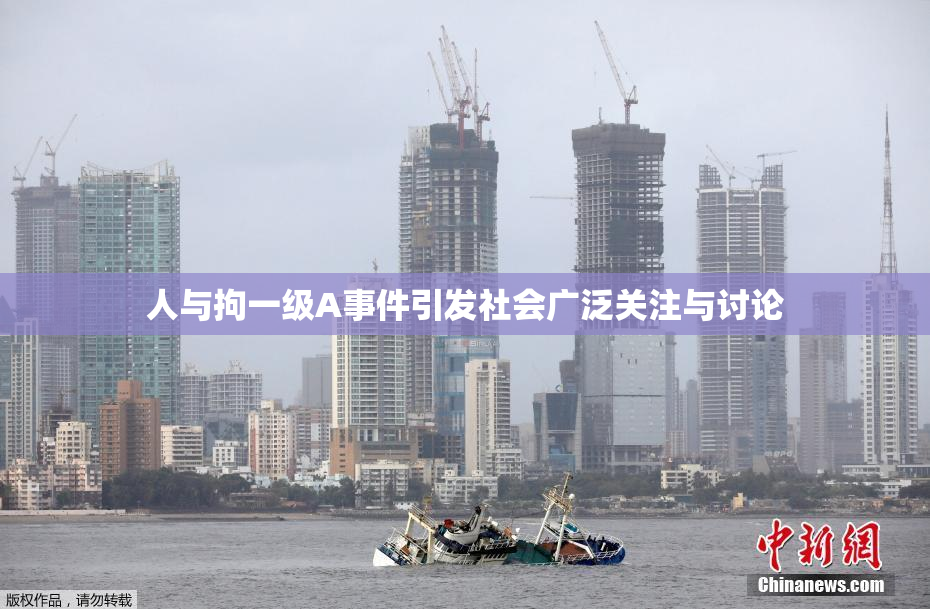 人与拘一级A事件引发社会广泛关注与讨论
