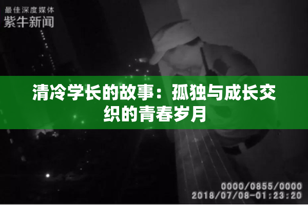 清冷学长的故事：孤独与成长交织的青春岁月