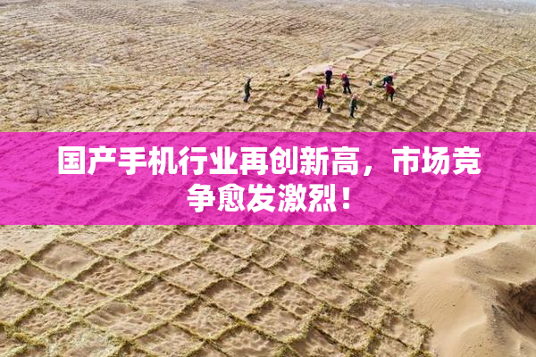 国产手机行业再创新高，市场竞争愈发激烈！