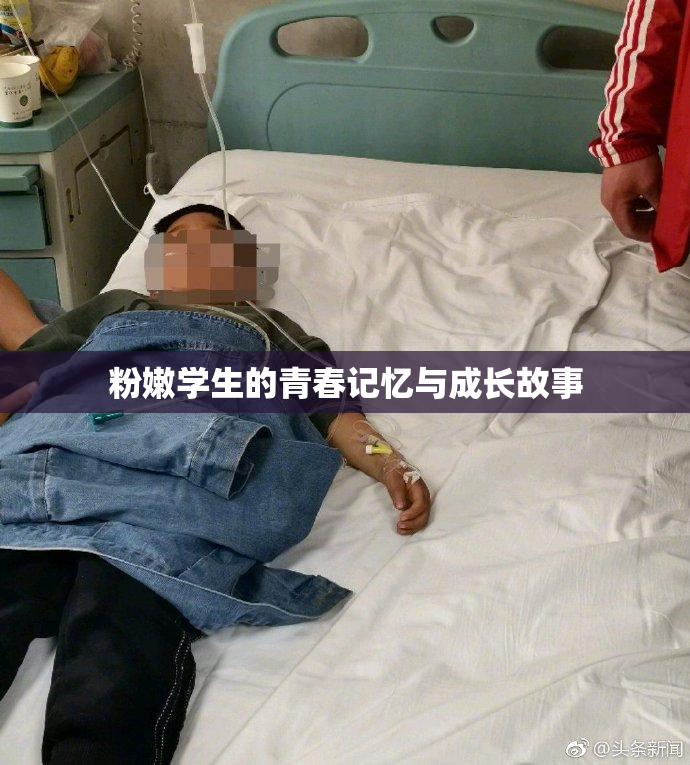 粉嫩学生的青春记忆与成长故事