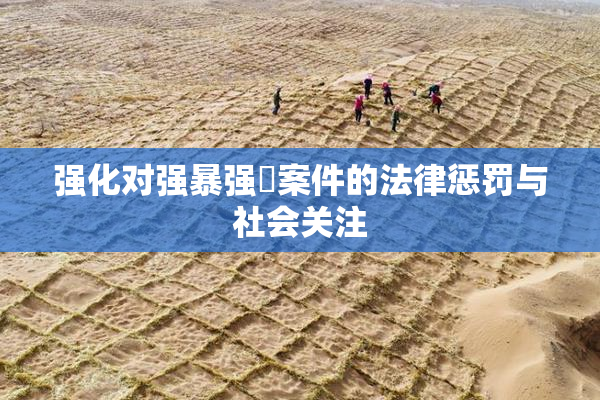 强化对强暴强姦案件的法律惩罚与社会关注