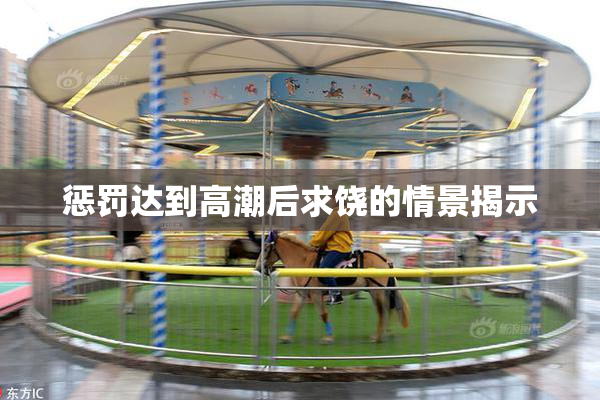 惩罚达到高潮后求饶的情景揭示