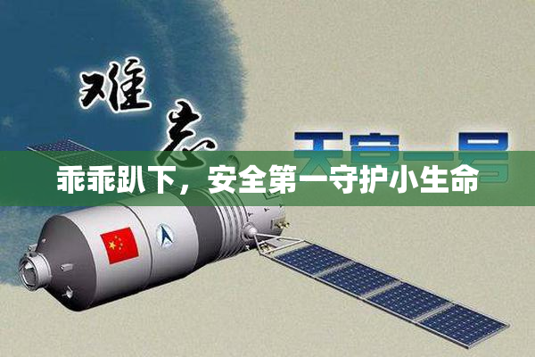 乖乖趴下，安全第一守护小生命