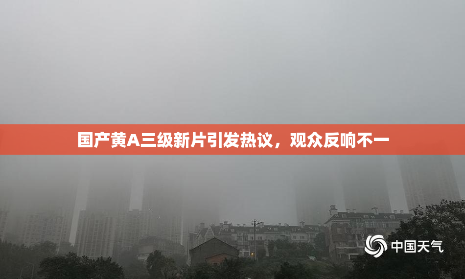 国产黄A三级新片引发热议，观众反响不一
