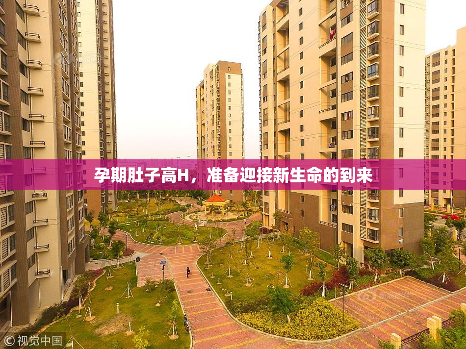 孕期肚子高H，准备迎接新生命的到来