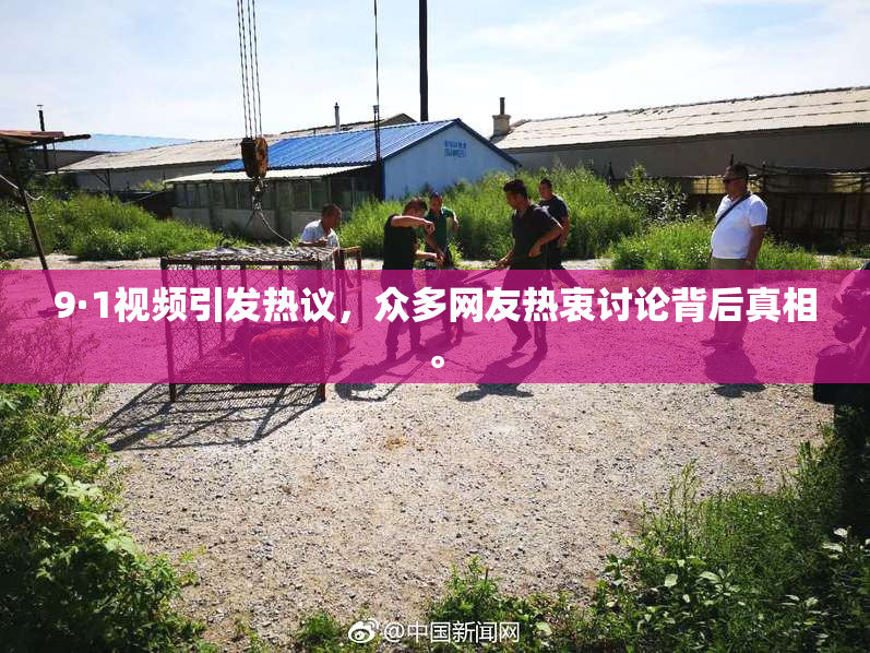 9·1视频引发热议，众多网友热衷讨论背后真相。