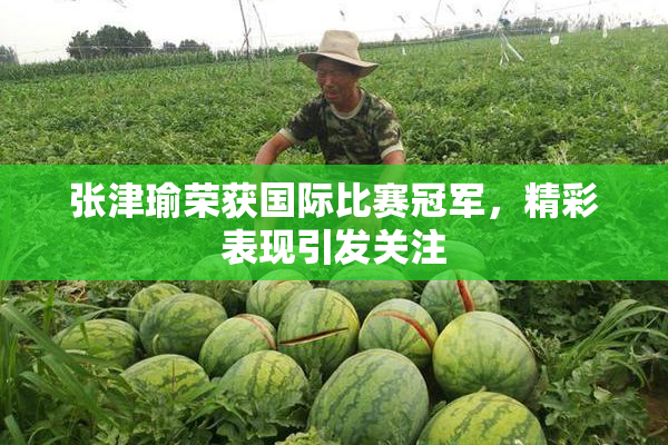 张津瑜荣获国际比赛冠军，精彩表现引发关注