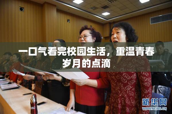 一口气看完校园生活，重温青春岁月的点滴