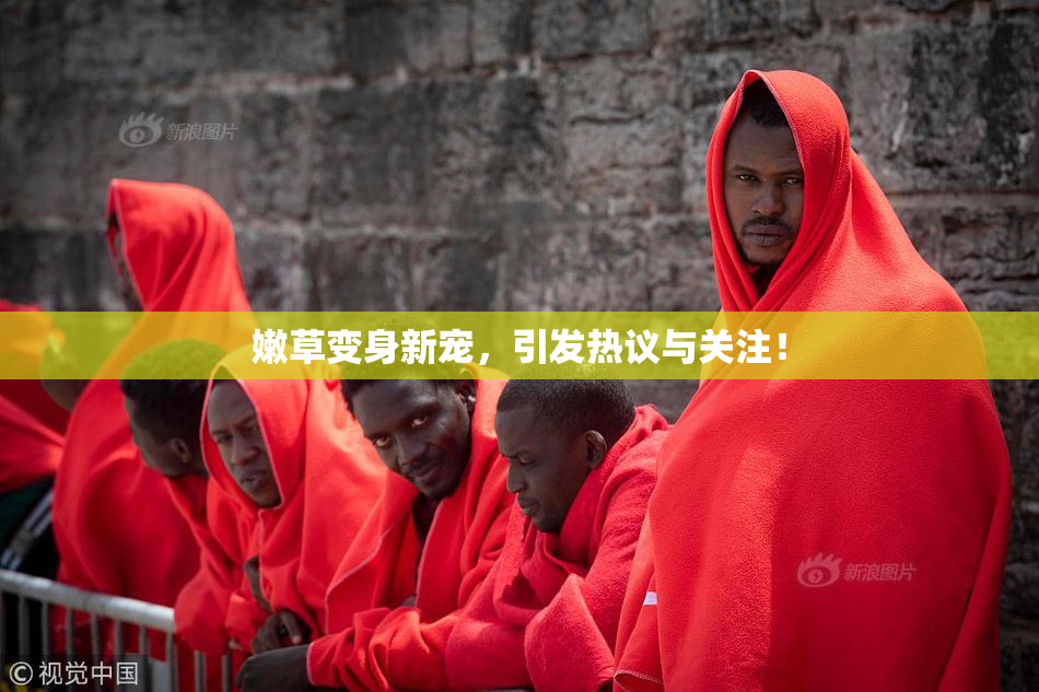 嫩草变身新宠，引发热议与关注！