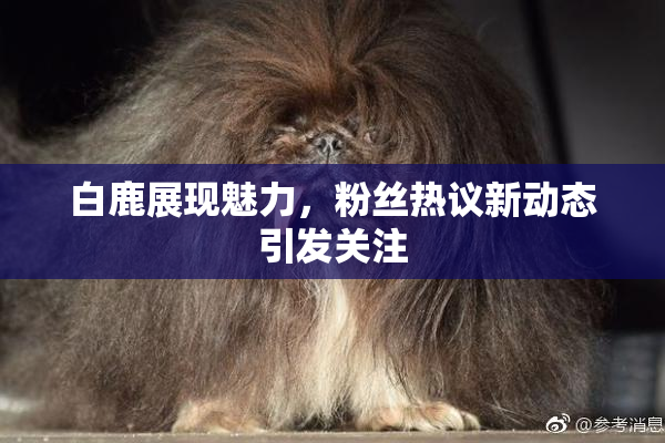白鹿展现魅力，粉丝热议新动态引发关注