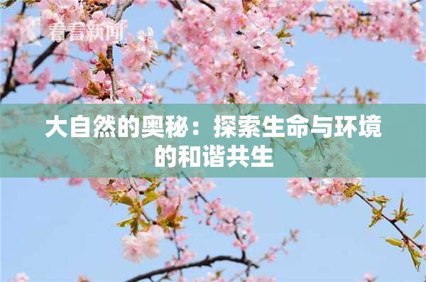 大自然的奥秘：探索生命与环境的和谐共生
