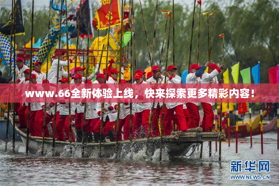 www.66全新体验上线，快来探索更多精彩内容！