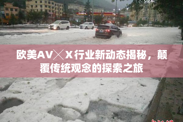 欧美AV╳Ⅹ行业新动态揭秘，颠覆传统观念的探索之旅