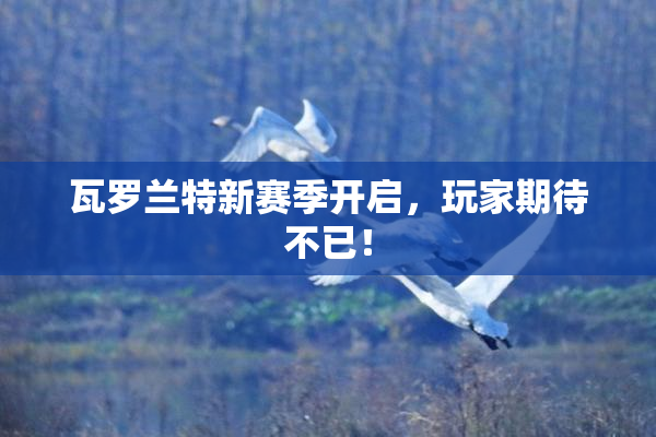 瓦罗兰特新赛季开启，玩家期待不已！