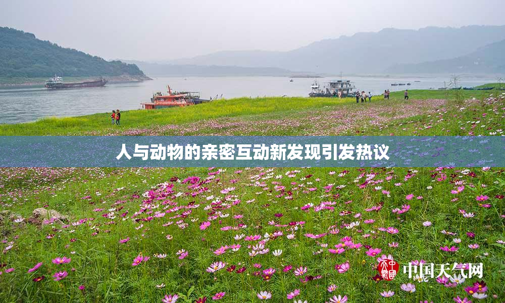 人与动物的亲密互动新发现引发热议