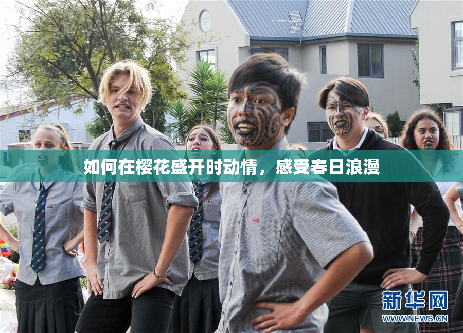 如何在樱花盛开时动情，感受春日浪漫