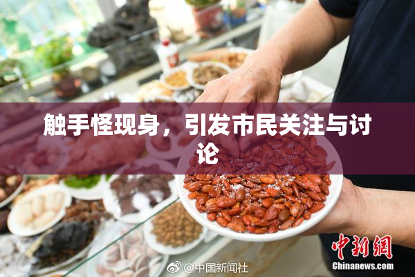 触手怪现身，引发市民关注与讨论