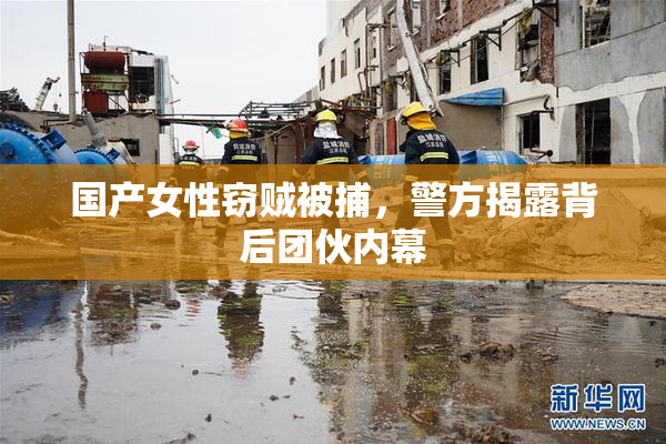 国产女性窃贼被捕，警方揭露背后团伙内幕
