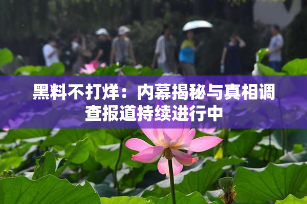 黑料不打烊：内幕揭秘与真相调查报道持续进行中