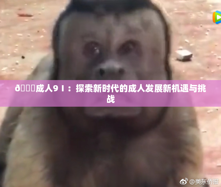 🔞成人9Ⅰ：探索新时代的成人发展新机遇与挑战