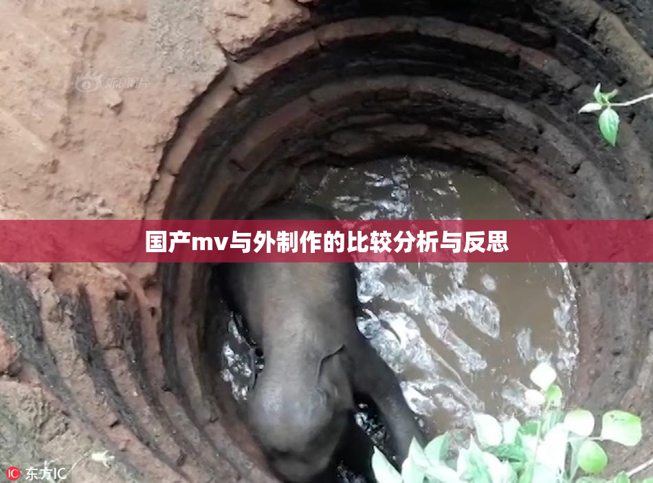国产mv与外制作的比较分析与反思