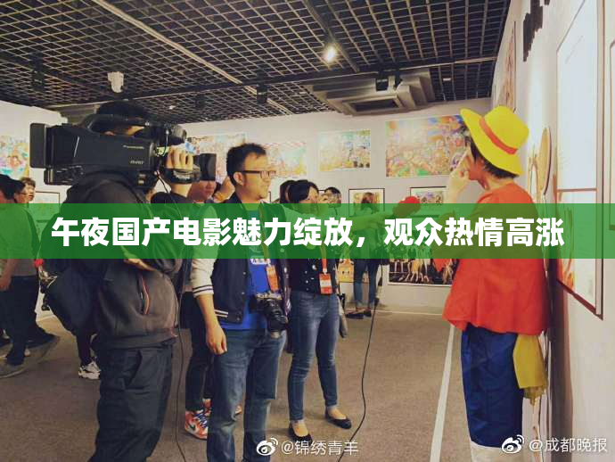 午夜国产电影魅力绽放，观众热情高涨