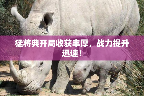 猛将典开局收获丰厚，战力提升迅速！