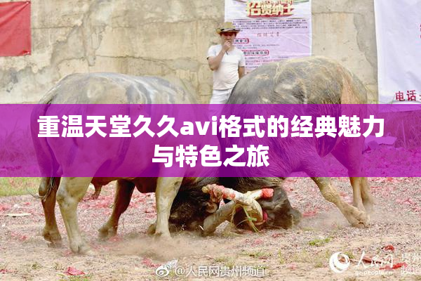 重温天堂久久avi格式的经典魅力与特色之旅
