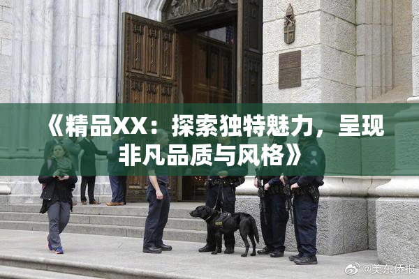 《精品XX：探索独特魅力，呈现非凡品质与风格》