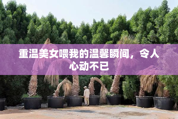 重温美女喂我的温馨瞬间，令人心动不已
