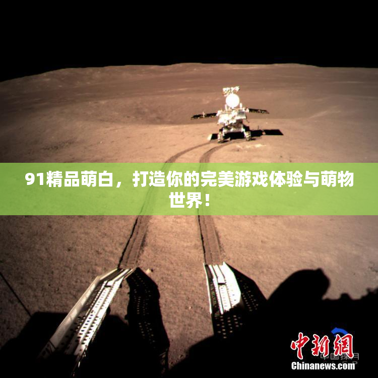 91精品萌白，打造你的完美游戏体验与萌物世界！