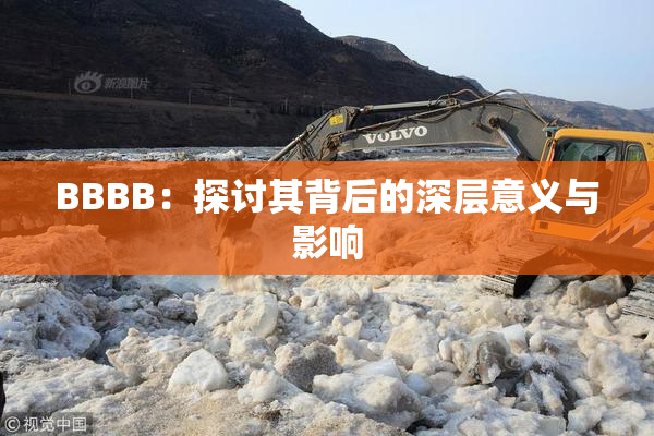 BBBB：探讨其背后的深层意义与影响